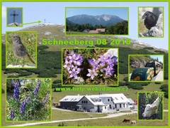 Schneeberg 2